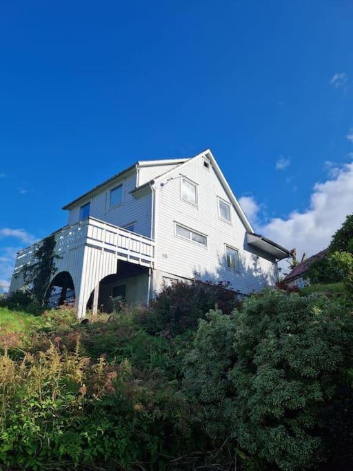 Madsgard Villa Etnesjoen Buitenkant foto