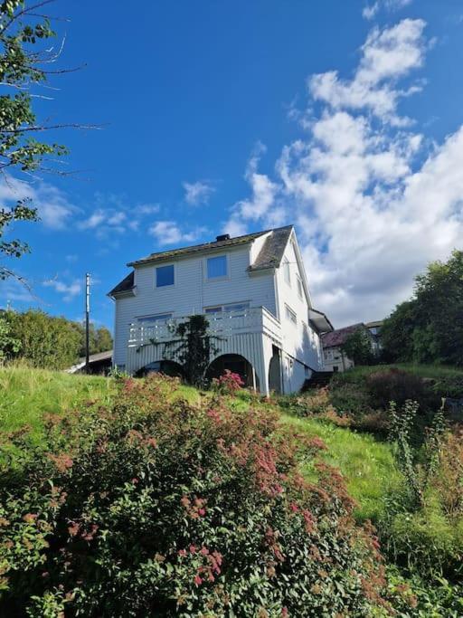 Madsgard Villa Etnesjoen Buitenkant foto